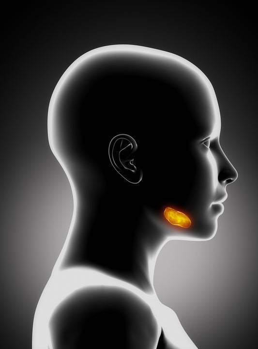 Novel strategies for the buccal delivery of macromolecules