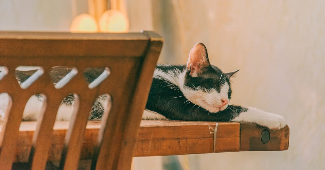 Can Clonidine Be Used As A Sleep Aid?