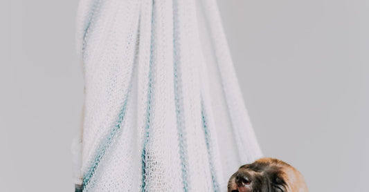 What is night spray?