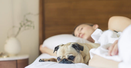 How To Get 2 Year Old To Sleep Later?