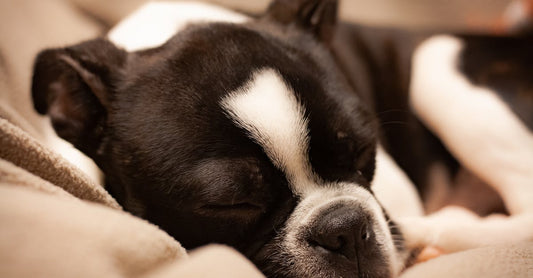 How To Get A 2 Year Old Sleep?